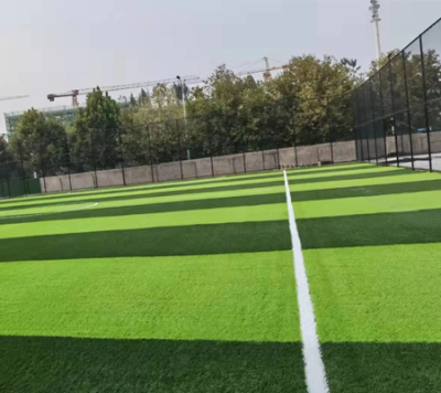 肇源第三中学草坪铺设