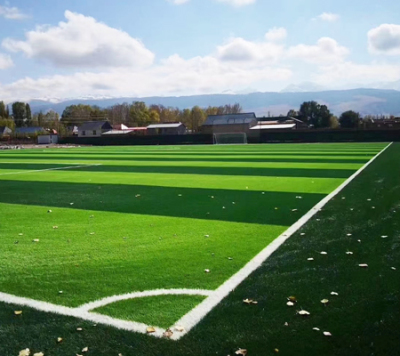 肇源第三中学草坪铺设